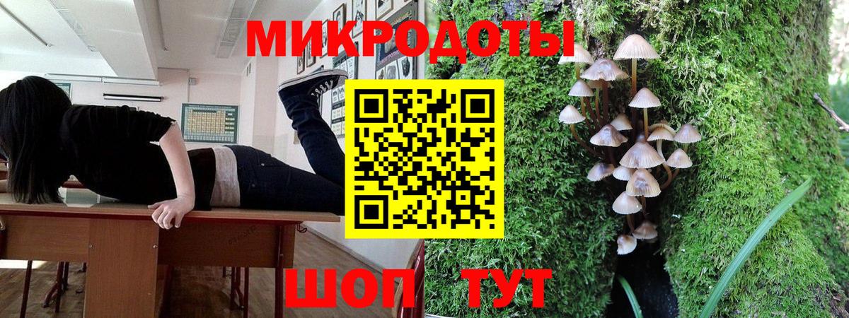 Елабуга  Галлюциногенные грибы мицелий  Вход с VPN 