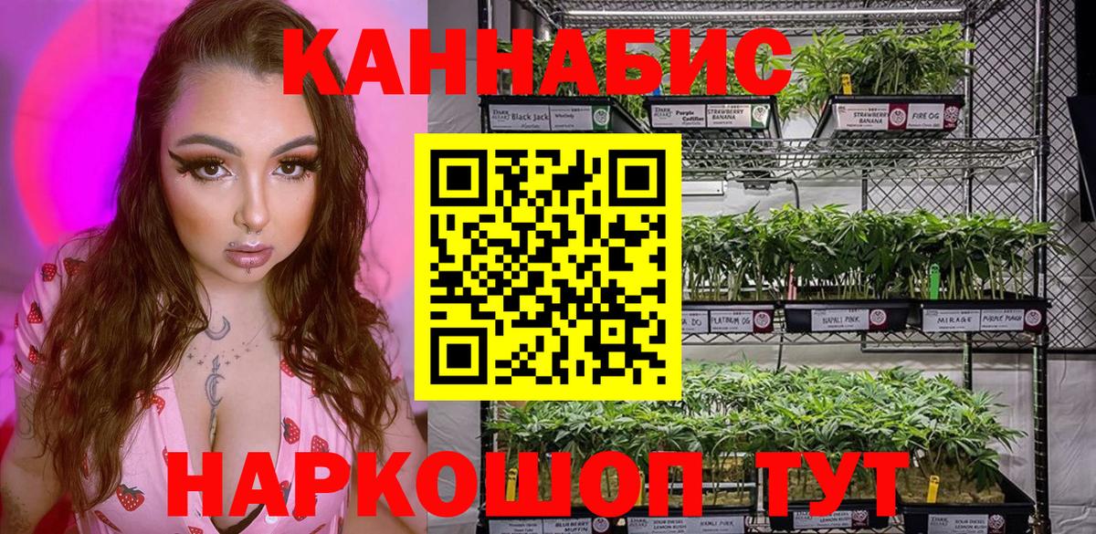 Бошки Шишки ГИДРОПОН  МАРИХУАНА Bruce Banner  Вход с VPN  Марихуана SATIVA & INDICA  Елабуга  Шишки марихуана White Widow 